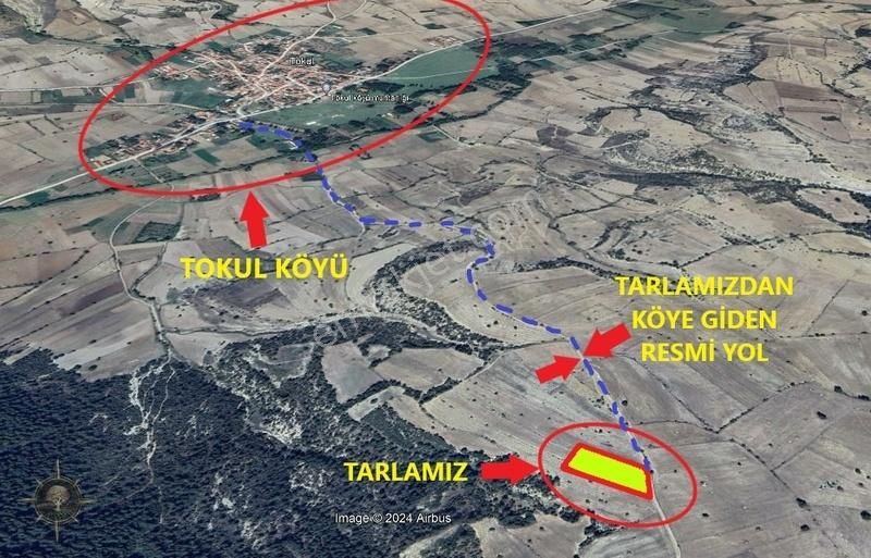 Aslanapa Tokul Köyü Satılık Tarla RESMİ YOLLU TOKUL KÖYÜNÜN DİBİNDE 2 DÖNÜM FIRSAT ARAZİ