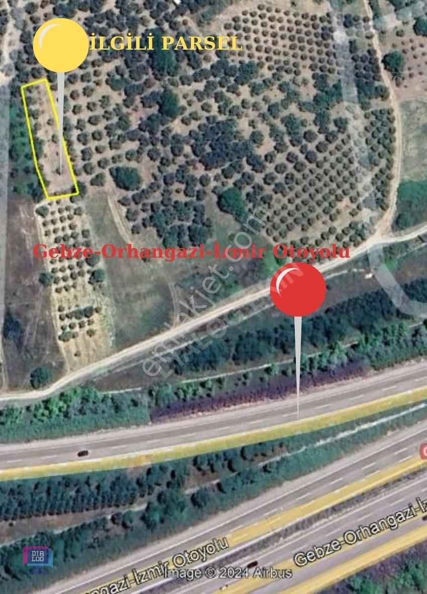 Osmangazi Çağlayan Satılık Zeytinlik DİALOG EKİN'DEN OSMANGAZİ ÇAĞLAYAN'DA 800M² ZEYTİNLİK