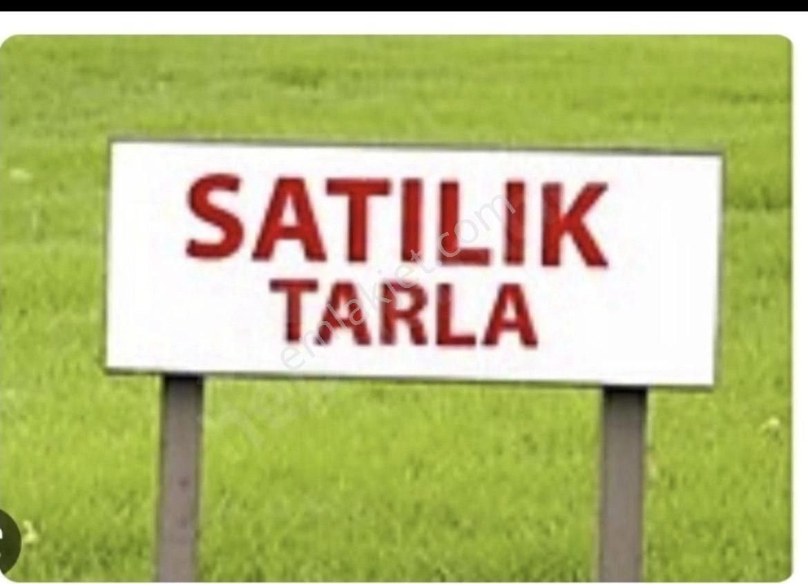 Manavgat Aksaz Satılık Tarla Manavgat Aksaz’da Satılık Tek Tapu Tarla