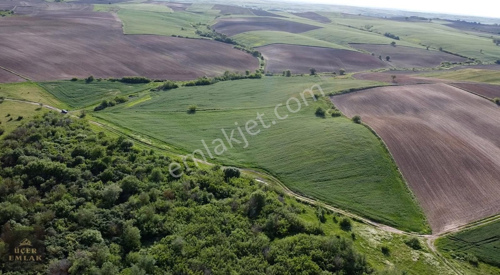 Babaeski Çengerli Köyü Satılık Tarla Kırklareli Babaeski Çengerli Köyünde 16015m2 Satılık Arazi