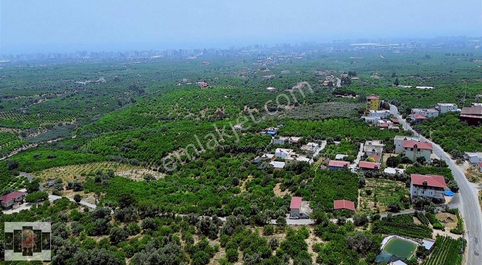 Erdemli Çeşmeli Satılık Tarla Erdemli Çeşmeli Satılık İki Ayrı Parsel Bahçe