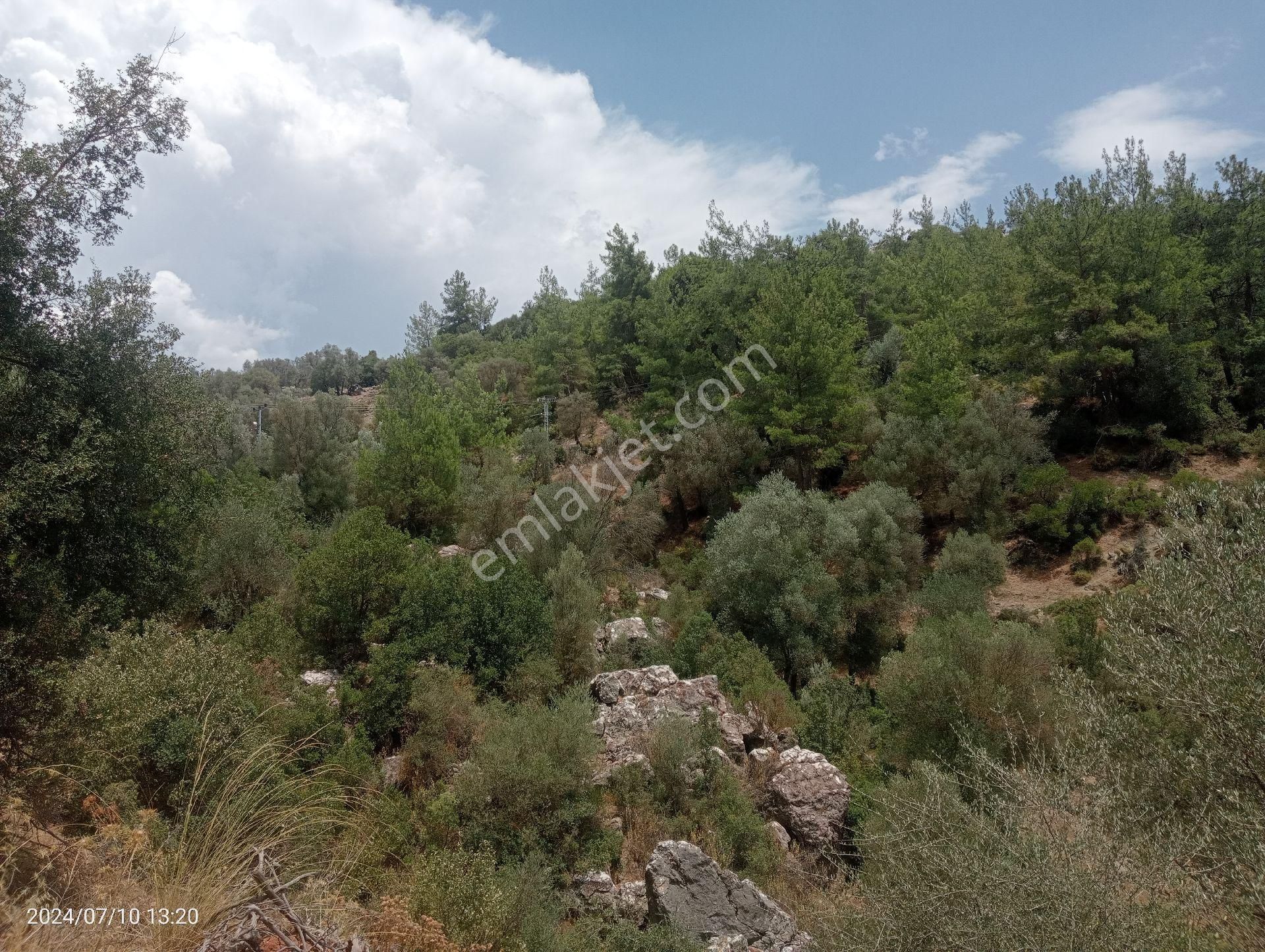 Antalya Kumluca Orta Köyde Satılık Tarla İnceoğlu Emlak - Görsel 7