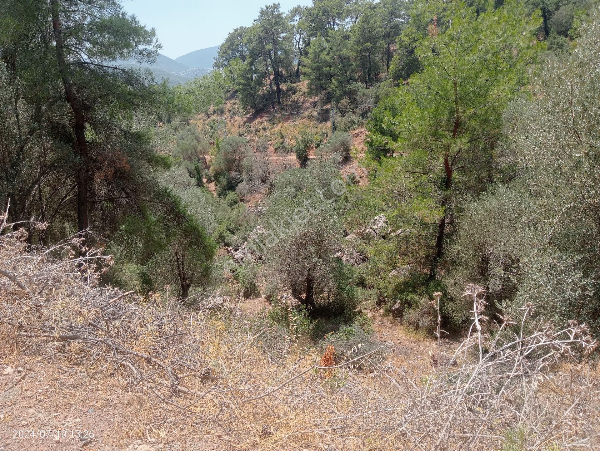 Antalya Kumluca Orta Köyde Satılık Tarla İnceoğlu Emlak - Görsel 15