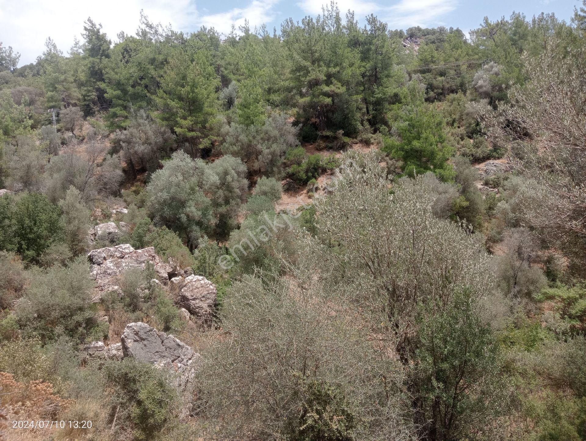 Antalya Kumluca Orta Köyde Satılık Tarla İnceoğlu Emlak - Görsel 4