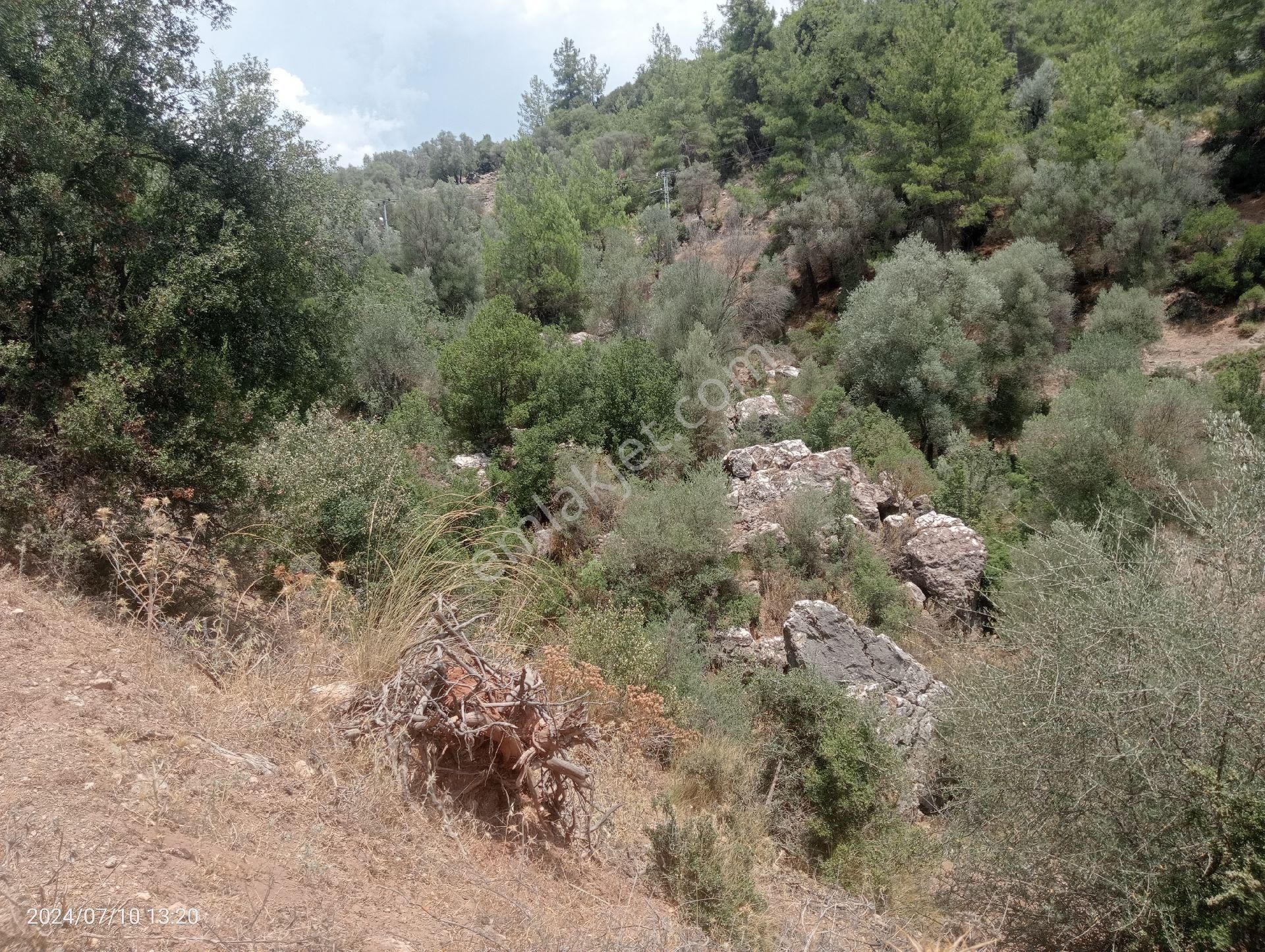 Antalya Kumluca Orta Köyde Satılık Tarla İnceoğlu Emlak - Görsel 3