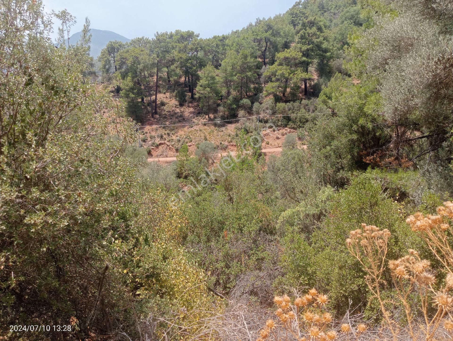 Antalya Kumluca Orta Köyde Satılık Tarla İnceoğlu Emlak - Görsel 19