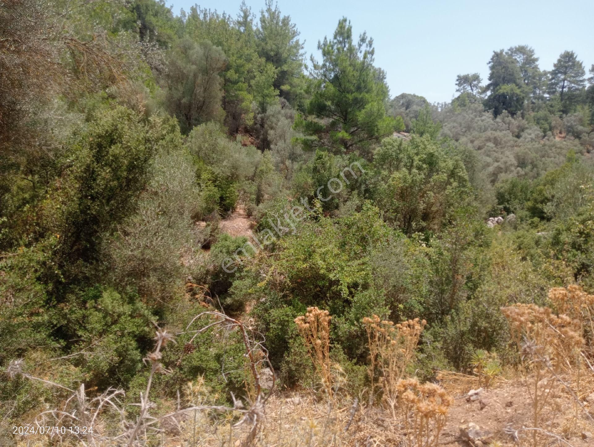 Antalya Kumluca Orta Köyde Satılık Tarla İnceoğlu Emlak - Görsel 11