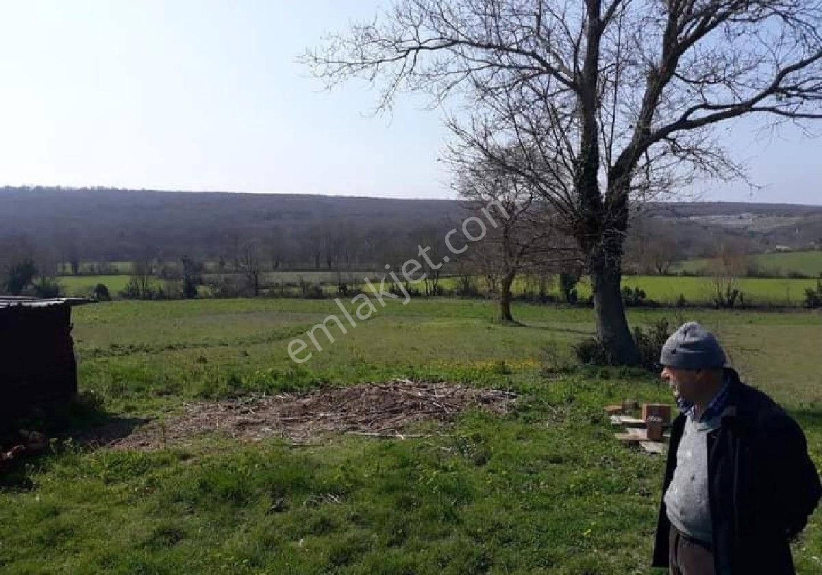 Sinop Merkez Hacıoğlu Köyü (Aşağı) Satılık Ticari İmarlı Sinop Merkez Hacıoğlu Köyünde 21 Dönüm Atalay Emlaktan Satılık Arsa