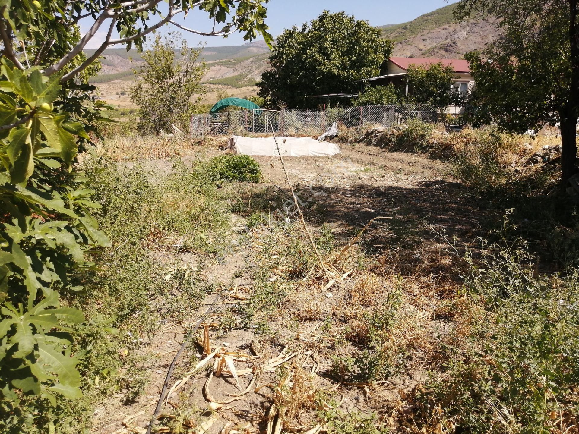 Karahöyük Avşarı Villalık Müstakil Arsa...acil