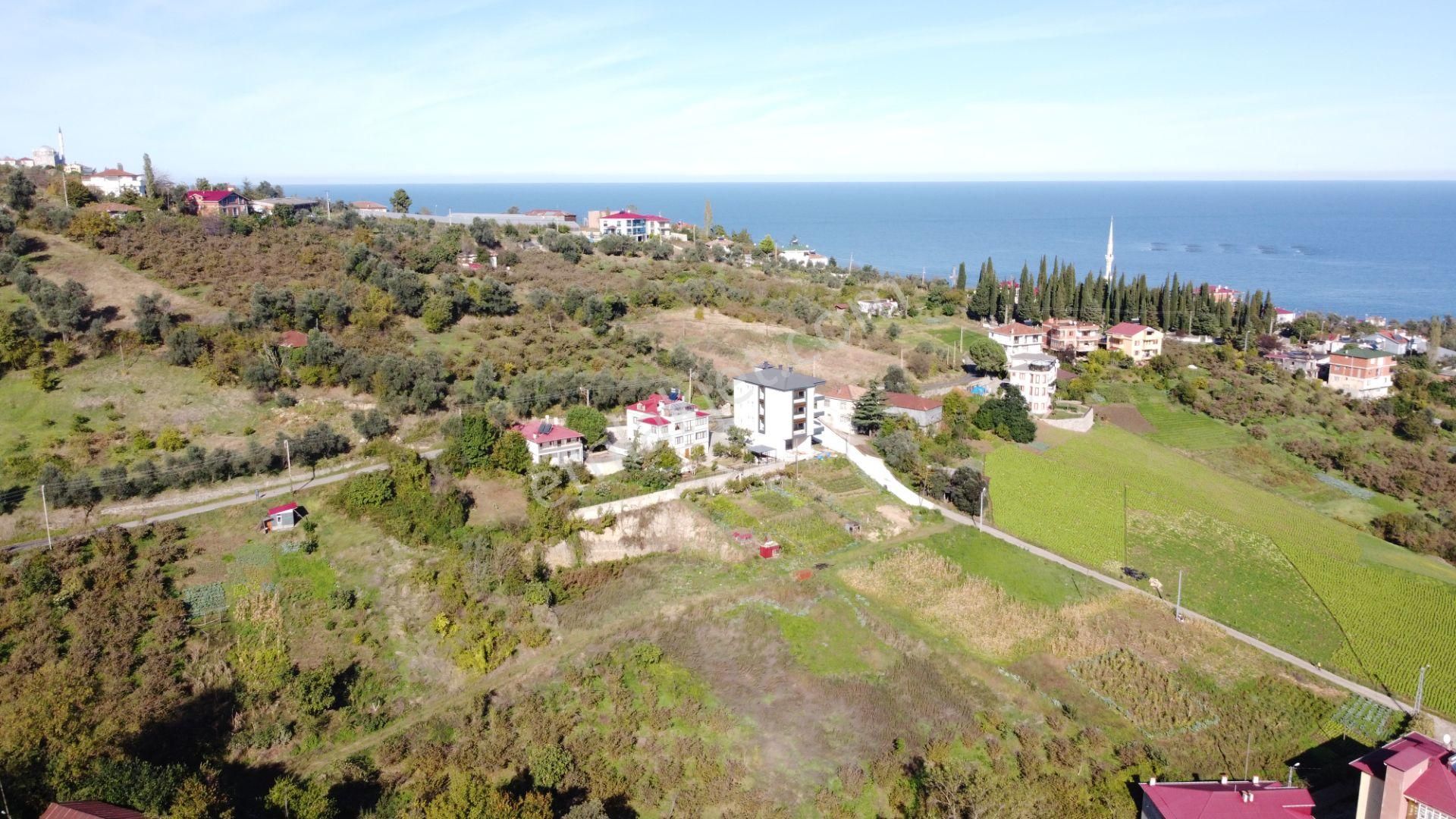 Akçaabat Darıca Satılık Konut İmarlı  ABDİ BOSTAN GAYRİMENKUL'DEN DARICA'DA SATILIK ARSALAR​