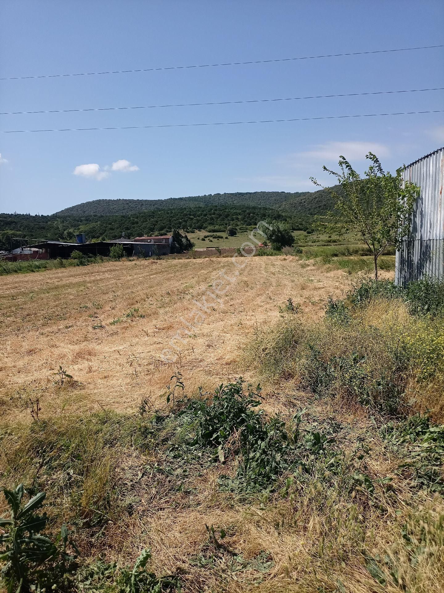 Sahibinden Aracısız - Görsel 8