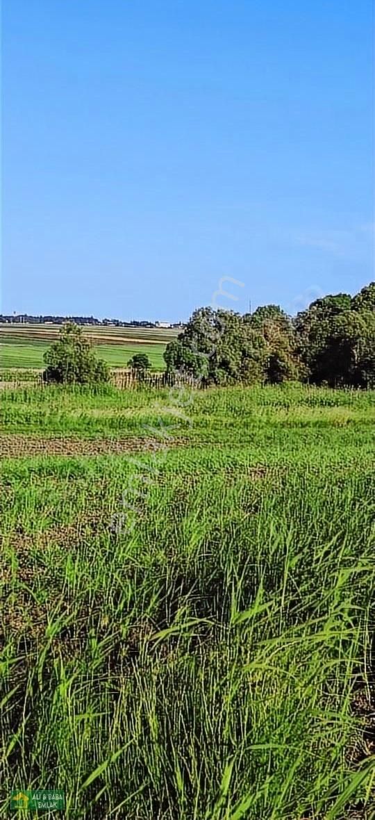 Silivri Çanta Sancaktepe Satılık Tarla Silivri Çanta Köyde 537 M2 Yerimiz Satılık