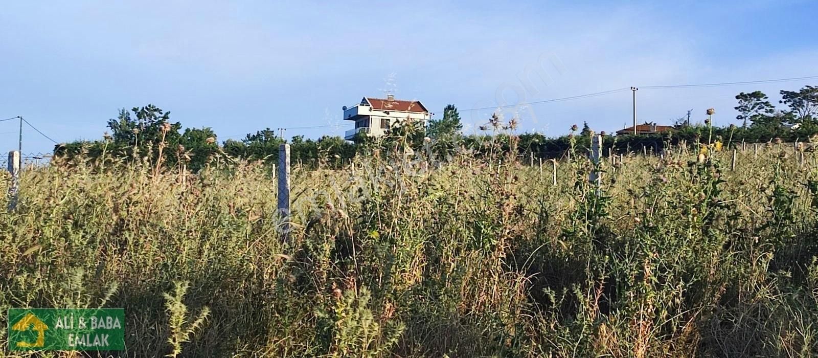 Silivri Çanta Balaban Satılık Tarla Silivri Balaban Da Tek Tapu Tarla