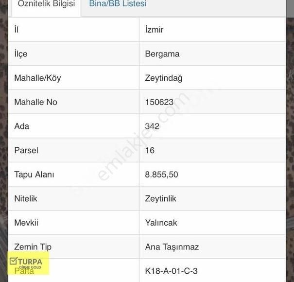 Bergama Zeytindağ Satılık Zeytinlik ÇANAKKALE ASFALTI DİBİNDE 148 ZEYTİN AĞAÇLIK ZEYTİNLİK