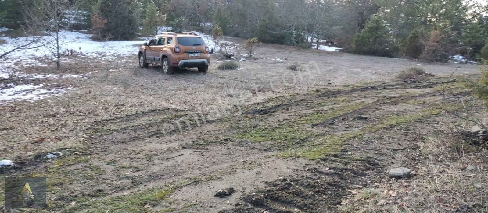 Gölpazarı Çengeller Köyü Satılık Tarla Yatırım Fırsatı 2434 Metre Manzaralı Tarla