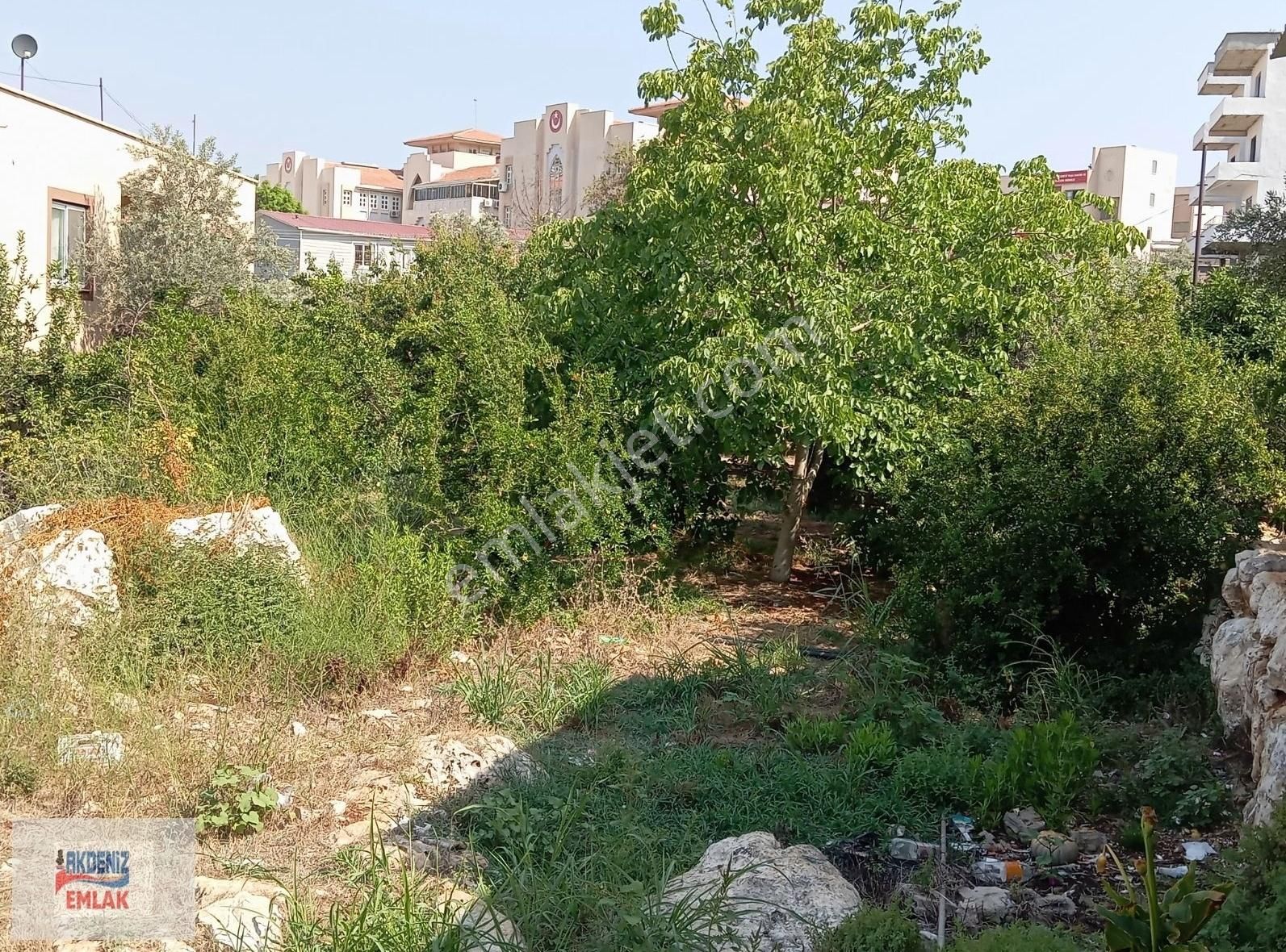 Erdemli Koyuncu Satılık Toplu Konut İçin ERDEMLİ 520 M2 1 YOĞUNLUKLU KONUT İMARLI MANZARALI KUPON ARSA