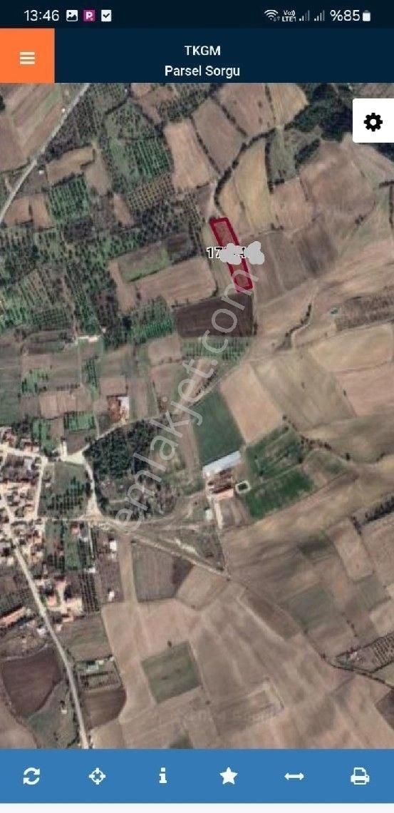 Şarköy Kizilcaterzi Mah.3113m² Köye 400m Mesafede Satılık Zeytinlik 2.450.000tl
