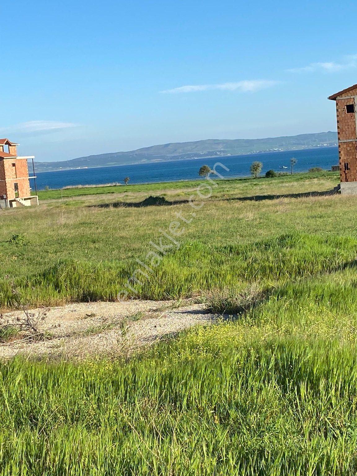 Gelibolu Adilhan Köyü (Bağlardere) Satılık Villa İmarlı  GELİBOLU ADİLHAN KÖYÜNDE İMARLI BÖLGEDE SATILIK 3 ADET VİLLA ARSASI 