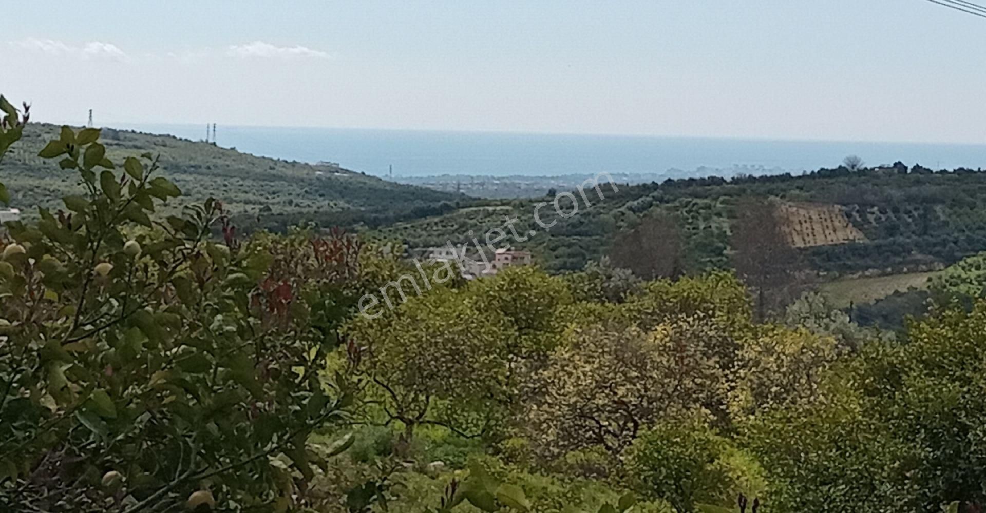 Erdemli Çiftepınar Satılık Bağ & Bahçe Mersin Erdemli Çeftepınar Mahallesinde Doğa Ve Deniz Manzaralı Satılık Limon Bançesi-tarla