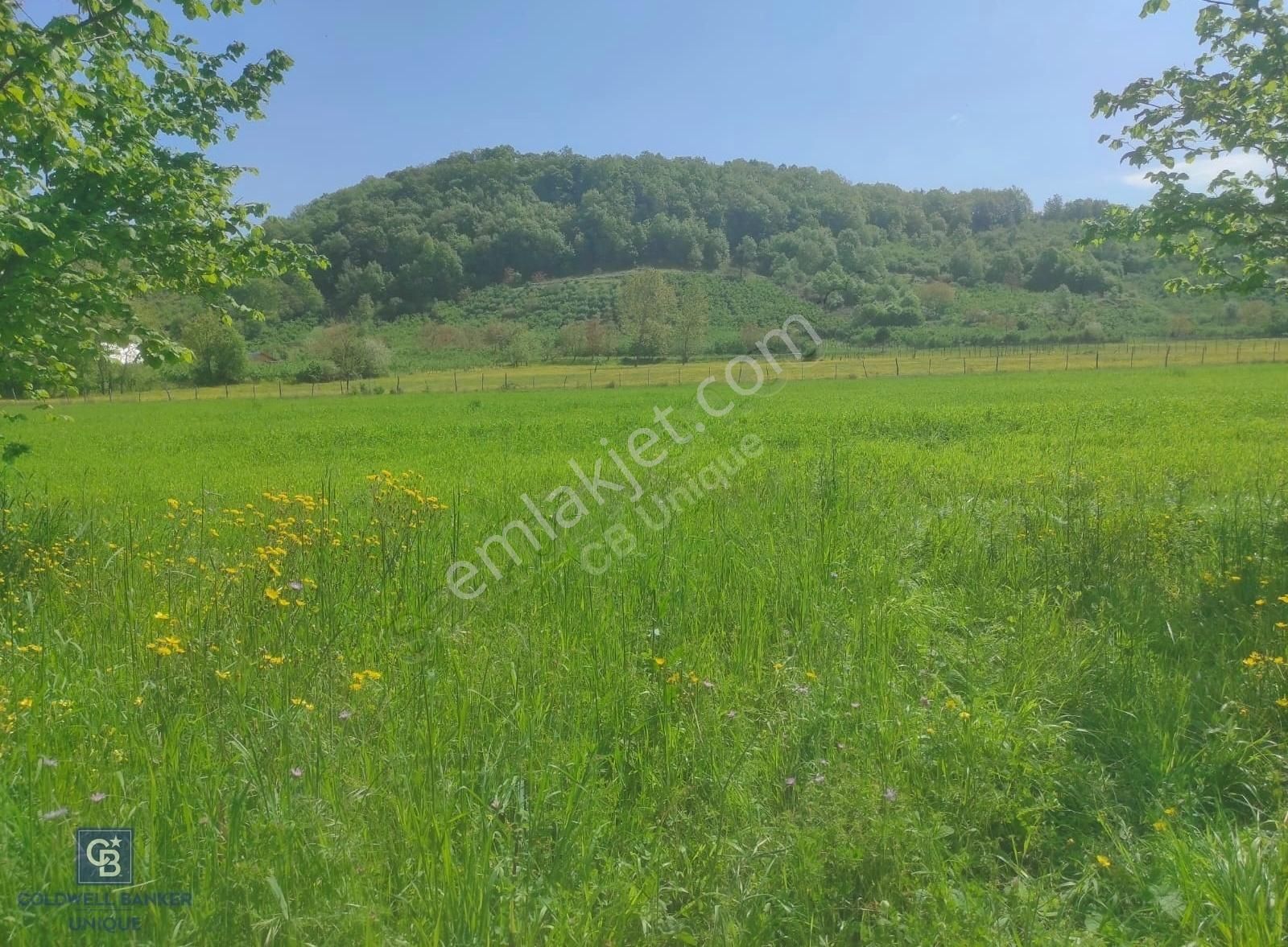 Şile Geredeli Satılık Tarla Şile Ağva Geredeli Köye Otobana Yakın Yolu Olan 2300m2 Bahçe