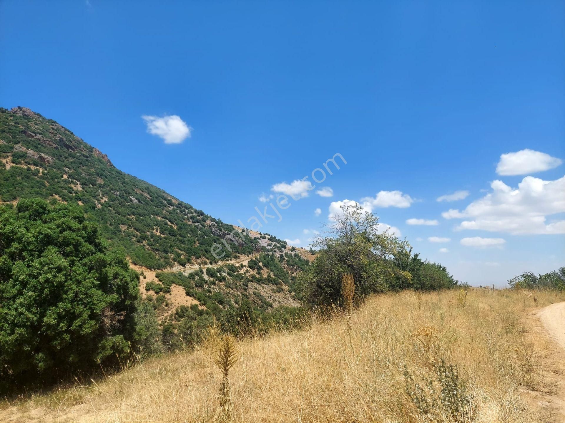 Bizim Emlak'tan Sarayda 5.084 M² Dağ Mazaralı - Görsel 3