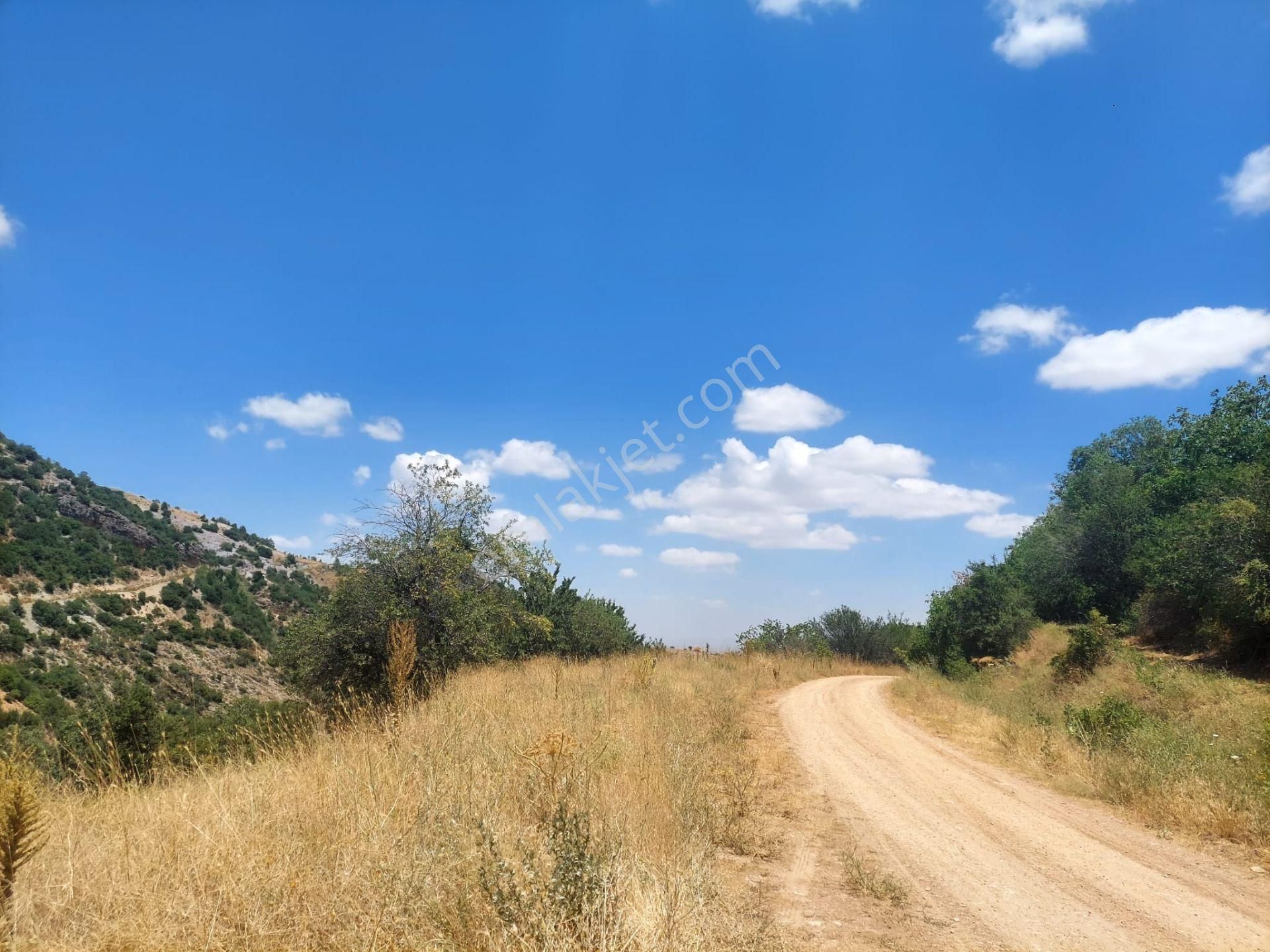 Bizim Emlak'tan Sarayda 5.084 M² Dağ Mazaralı - Görsel 4