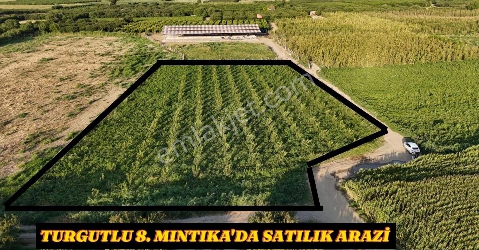 Turgutlu İstasyonaltı Satılık Bağ & Bahçe TURGUTLU 8. MINTIKA DAVUTLU MEVKİ SATILIK ARAZİ