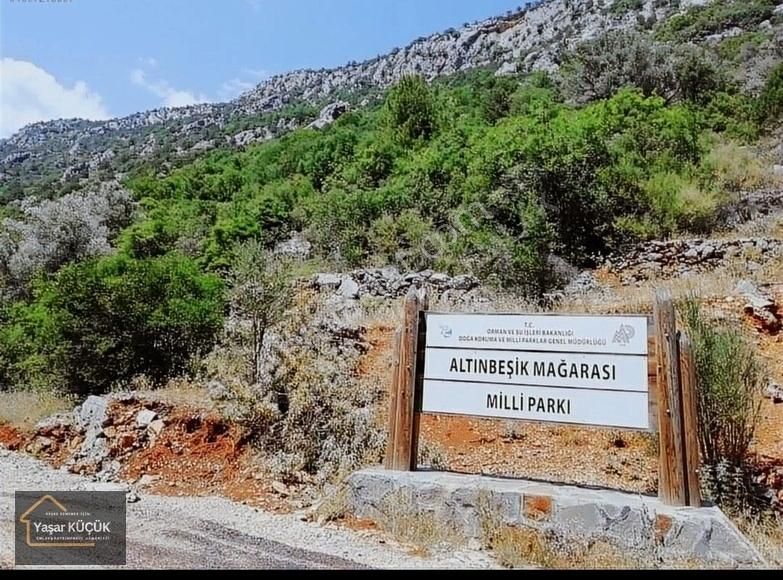 İbradı Ürünlü Satılık Tarla YAŞAR KÜÇÜK'den Antalya ibradıda Takaslı müstakil tarla