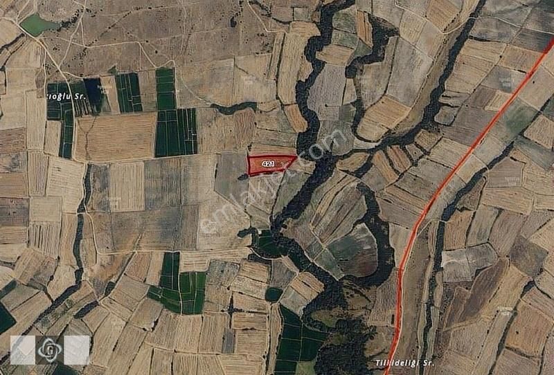 Havsa Bakışlar Köyü Satılık Tarla Edirne Havza Bakışlarda 1.250 m2 Yatırımlık Arsa