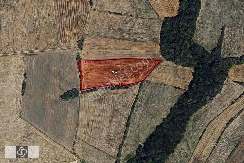 Havsa Bakışlar Köyü Satılık Tarla Edirne Havza Bakışlarda 1.327 m2 Yatırımlık Arsa