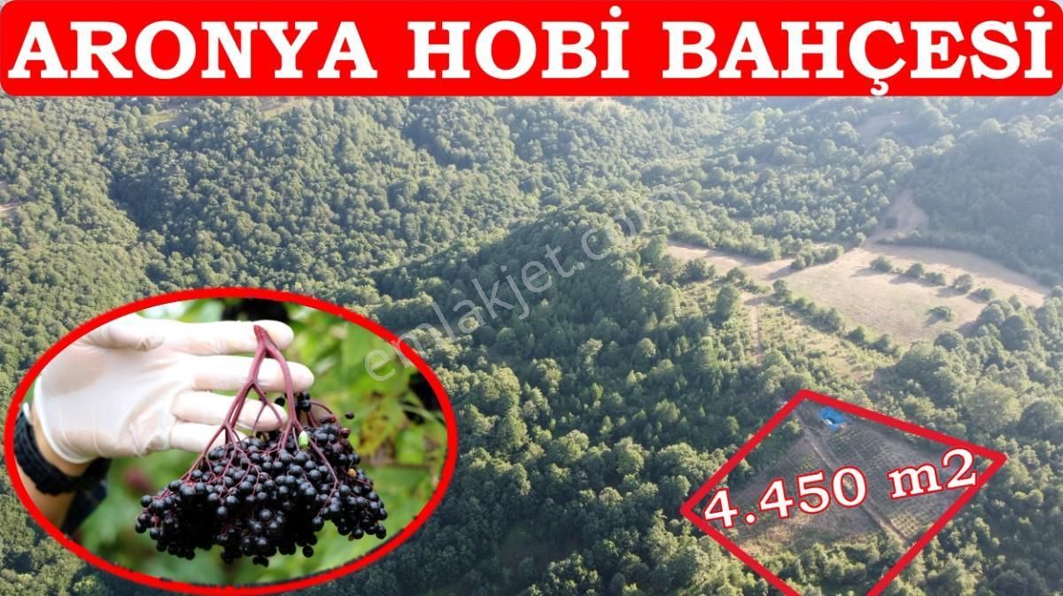 Gönen Fındıklı Satılık Tarla 4.450 m2 Aronya Hobi Bağ-Bahçesi Havuz Var. Orman Cepheli