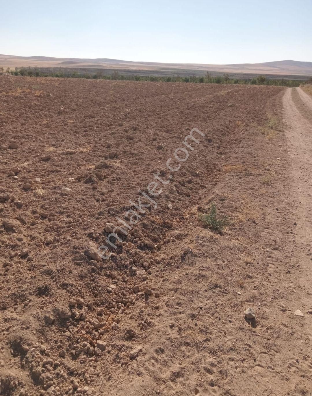 Ulukışla Altay Köyü (Küme 1) Satılık Tarla Niğde Ulukışla satılık tarla