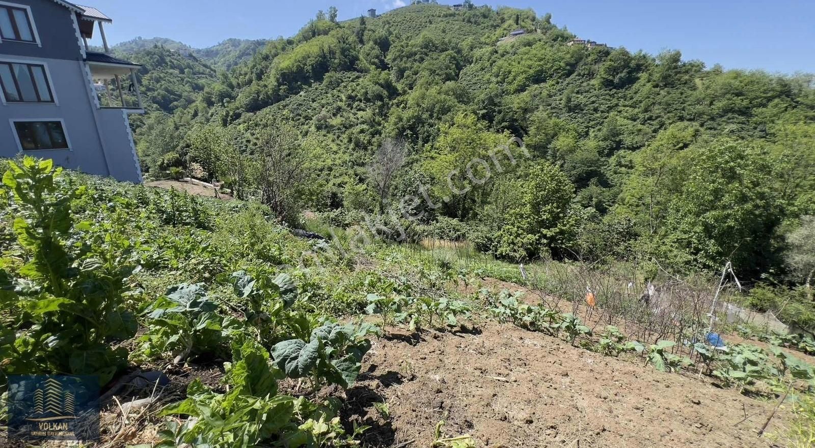 Çarşıbaşı Gülbahçe Satılık Konut İmarlı VOLKAN YATIRIM'DAN YİNE FIRSAT SAHİLE ÇOK YAKIN 566M2 ARSA