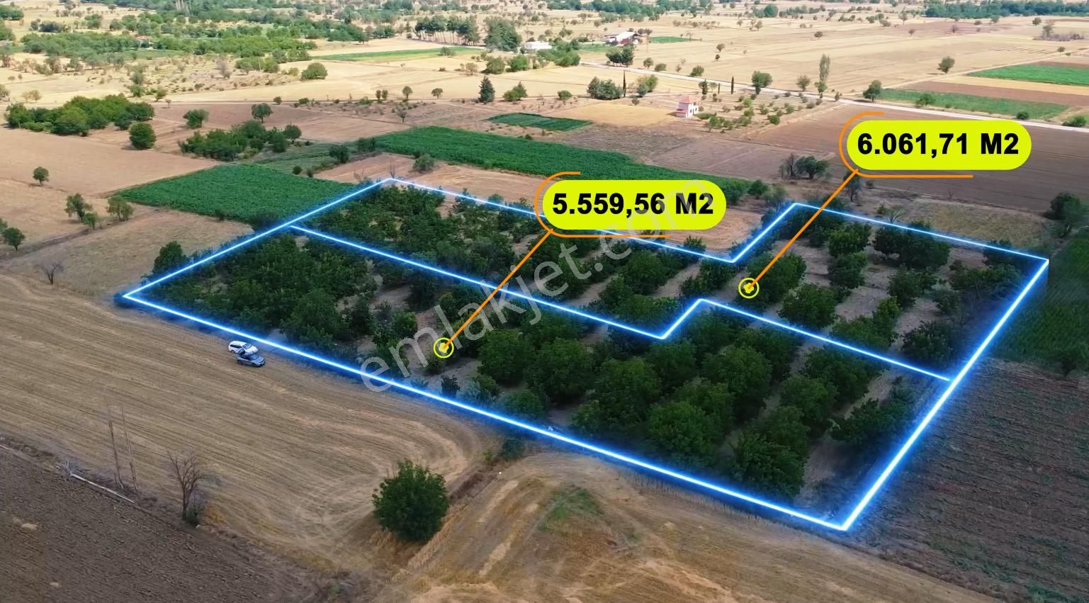 Acıpayam Yazır Satılık Bağ & Bahçe Denizli/acıpayam Yazır Mahellesi 11.620 M2 Satılık Ceviz Bahçesi