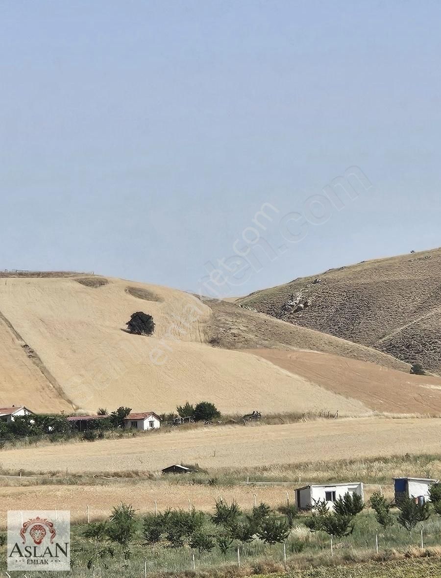 Ankara Elmadağ Satılık Tarla HASANOĞLAN bahçeli evlerde kadastro yola cephe 17,368 m2 tarla