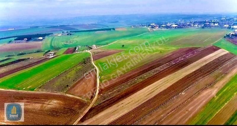 Marmaraereğlisi Çeşmeli Satılık Tarla Tekirdağ Marmaraereğlisi Çeşmelide Satılık Arsa