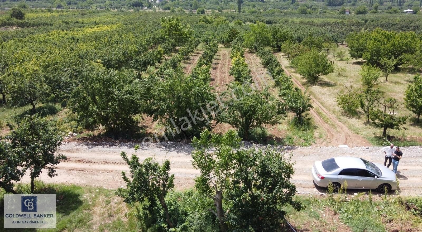 Geyve Doğantepe Satılık Tarla Sakarya Geyve Doğantepe Köyünde 1.486m² Resmi Yollu Satılık Arsa