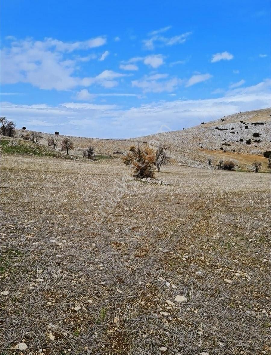 Yalvaç Tokmacık Köyü (Bolatlık) Satılık Tarla ISPARTA YALVAC TOKMACIK SATILIK 4194 M2 TARLA