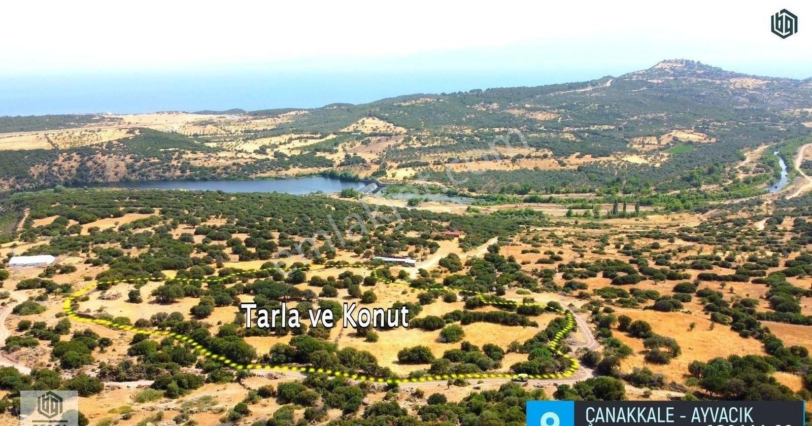 Ayvacık Behram Köyü Satılık Tarla ASSOS BEHRAMKALEDE DENİZ VE KÖY MANZARALI 19 DÖNÜM İMARLI TARLA