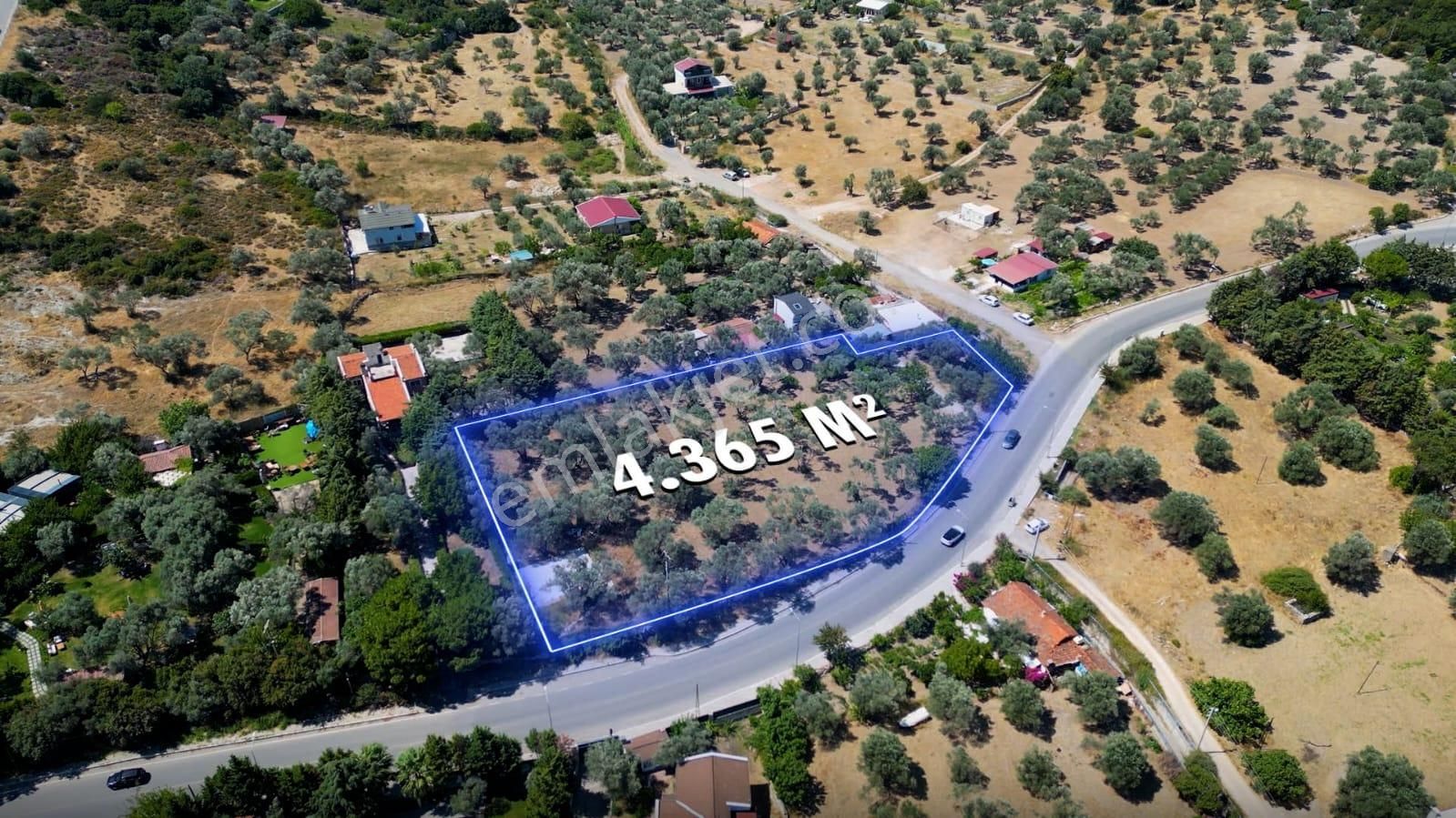 Urla'nın İncisi Çeşmealtı'nda Satılık Yola Cepheli Tarla - Görsel 9