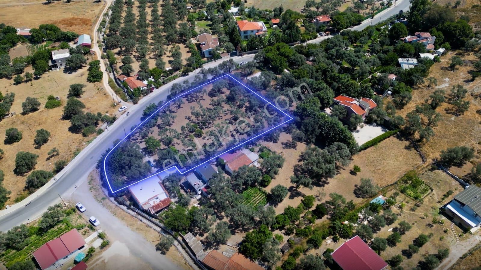 Urla'nın İncisi Çeşmealtı'nda Satılık Yola Cepheli Tarla - Görsel 3