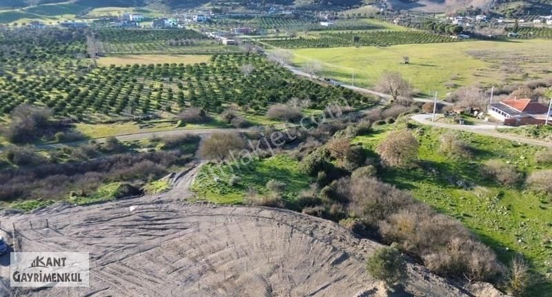 İzmir Seferihisar Satılık Ticari İmarlı KÖY YERLEŞİM YERİNDE İMARLI ARSA