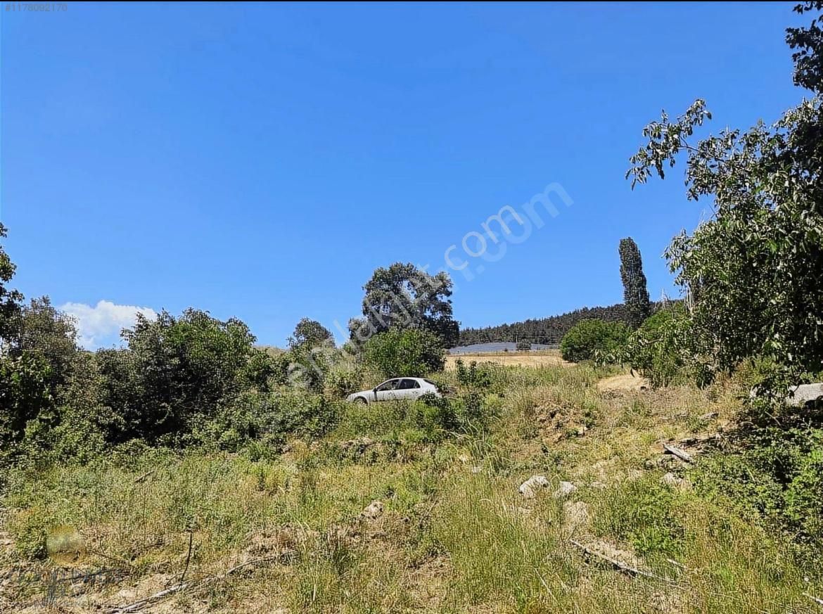 Akdağ Emlaktan Ağlaşan Köyünde Kupon Arazi - Görsel 2