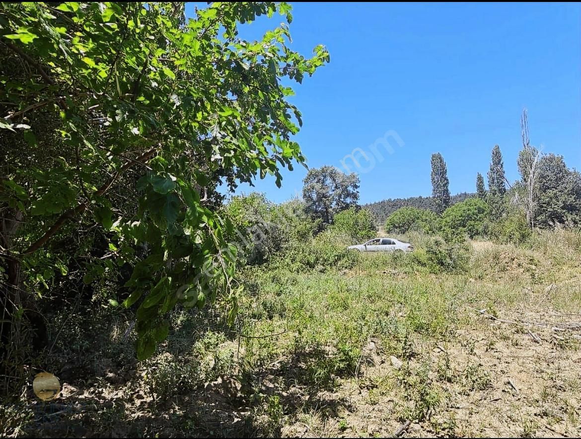 Akdağ Emlaktan Ağlaşan Köyünde Kupon Arazi - Görsel 3