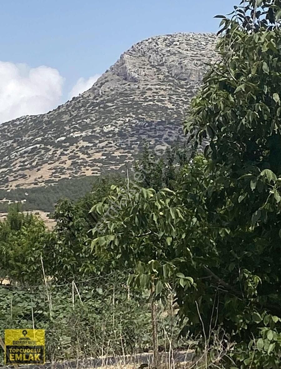 Antalya Korkuteli Bozovada Bahçe.4732..metrekare - Görsel 12