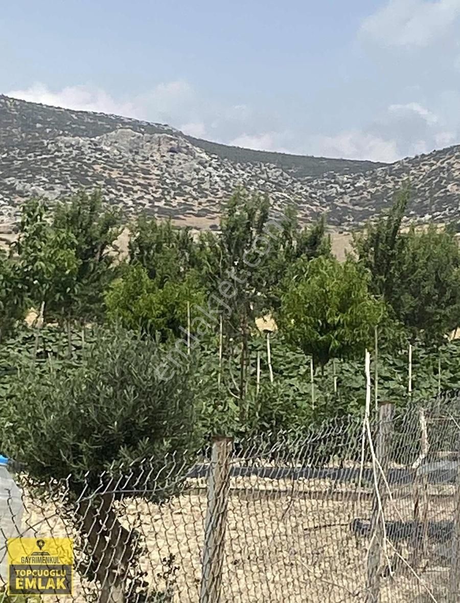 Antalya Korkuteli Bozovada Bahçe.4732..metrekare - Görsel 21