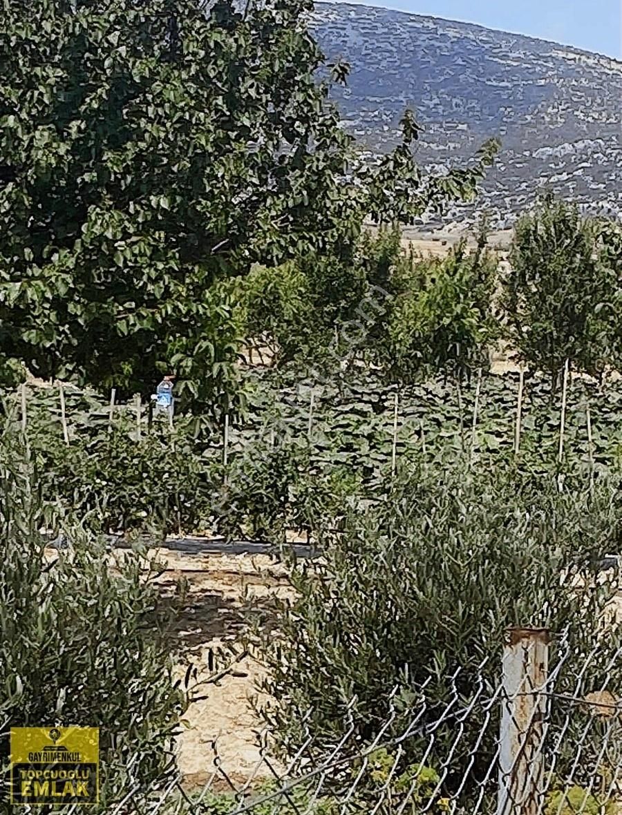 Antalya Korkuteli Bozovada Bahçe.4732..metrekare - Görsel 18