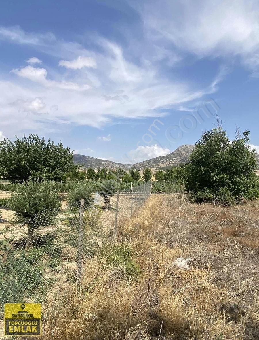 Antalya Korkuteli Bozovada Bahçe.4732..metrekare - Görsel 20