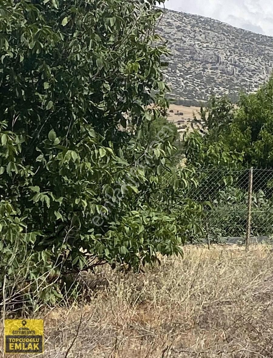 Antalya Korkuteli Bozovada Bahçe.4732..metrekare - Görsel 23