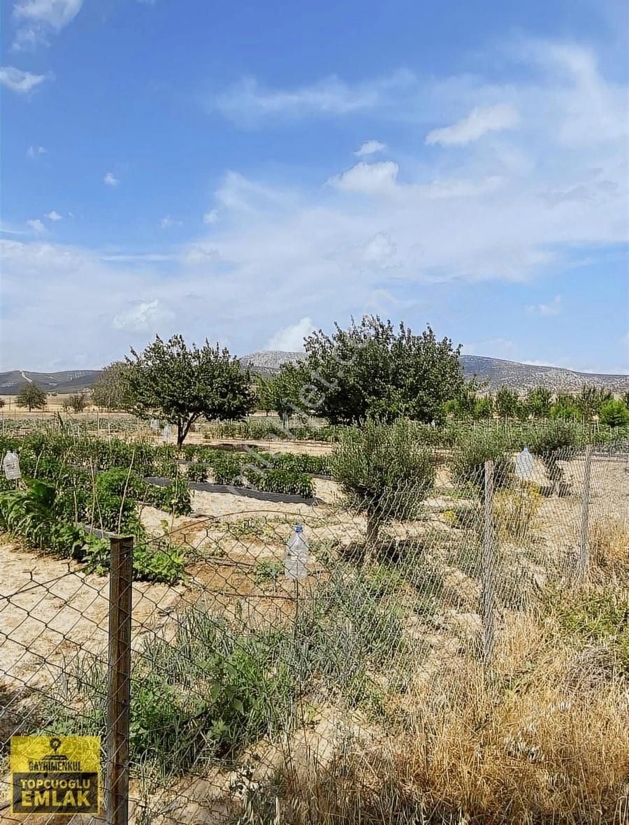 Antalya Korkuteli Bozovada Bahçe.4732..metrekare - Görsel 28